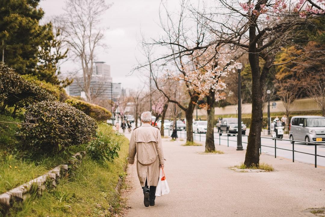 65 万控除条件を満たすには？青色申告の要点整理