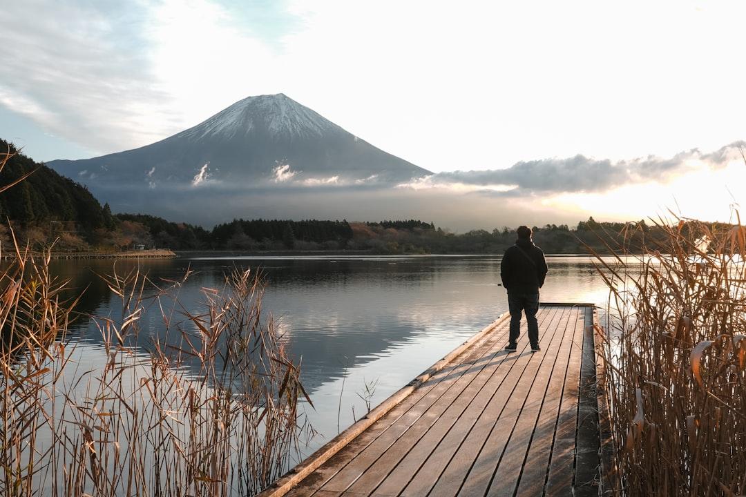 領収書の整理から提出まで！初年度でも迷わない青色確定申告やり方の全手順