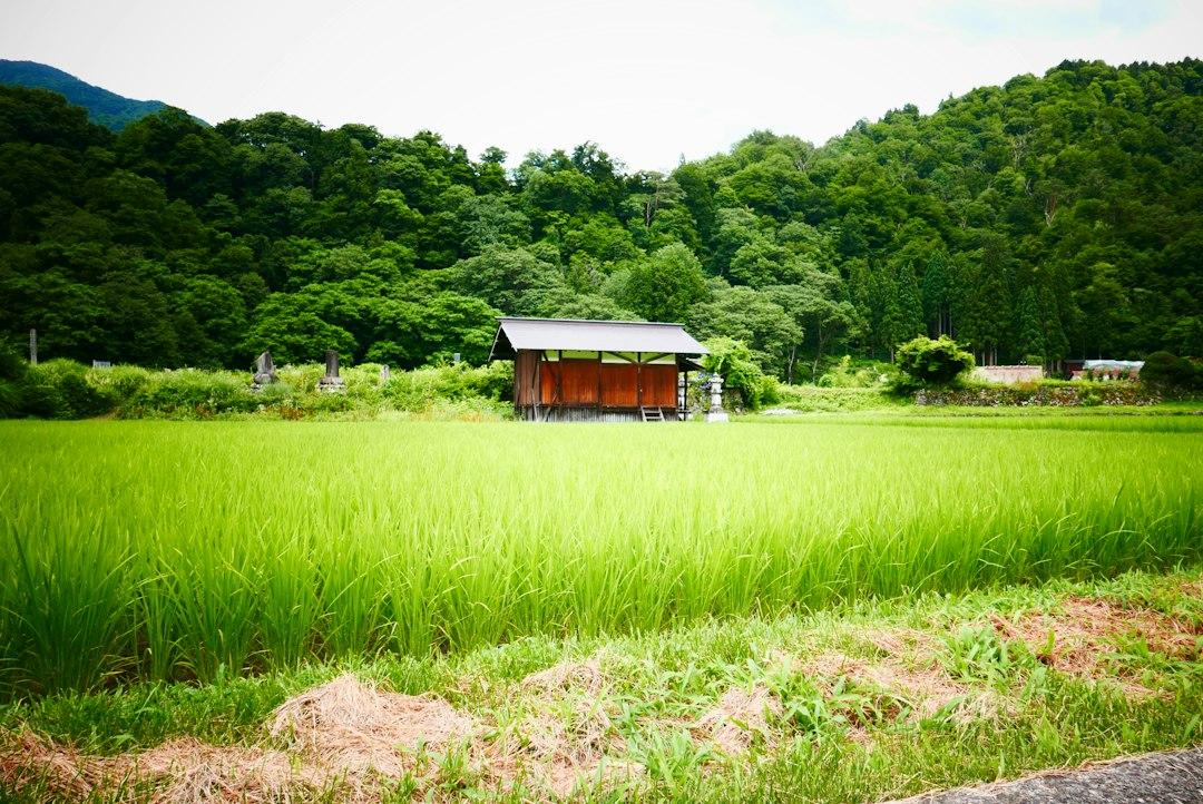 地域おこし協力隊として働くには｜募集の探し方と任期中の仕事、副業の扱い