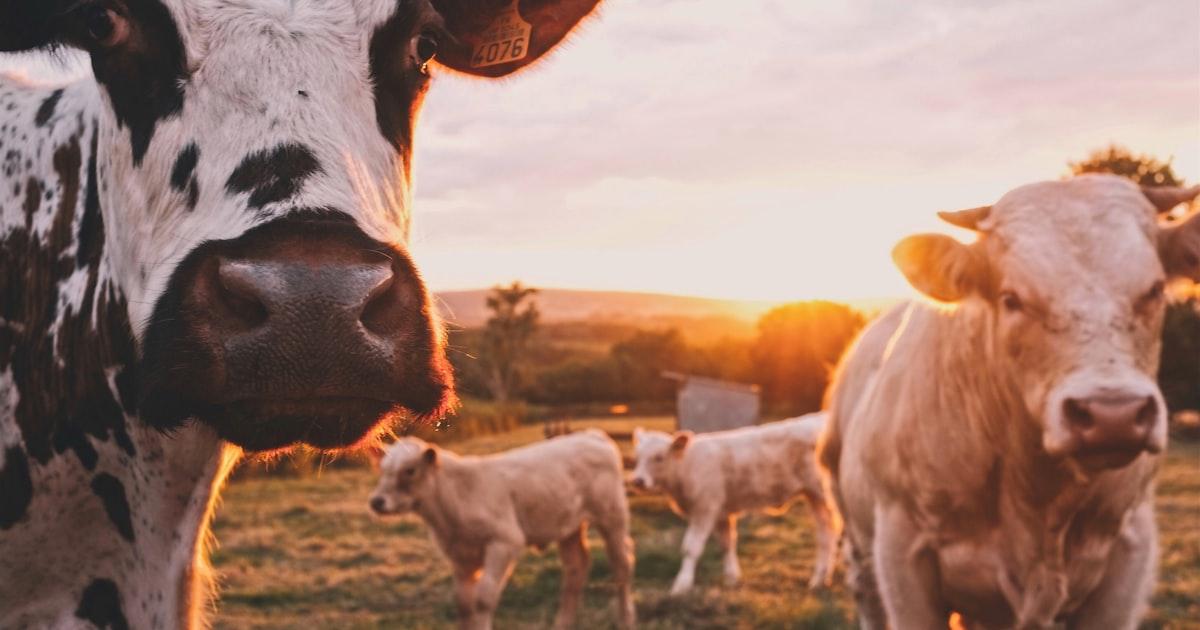 クラウドソーシングの納期管理｜初心者が守るべきルール【2026年版】