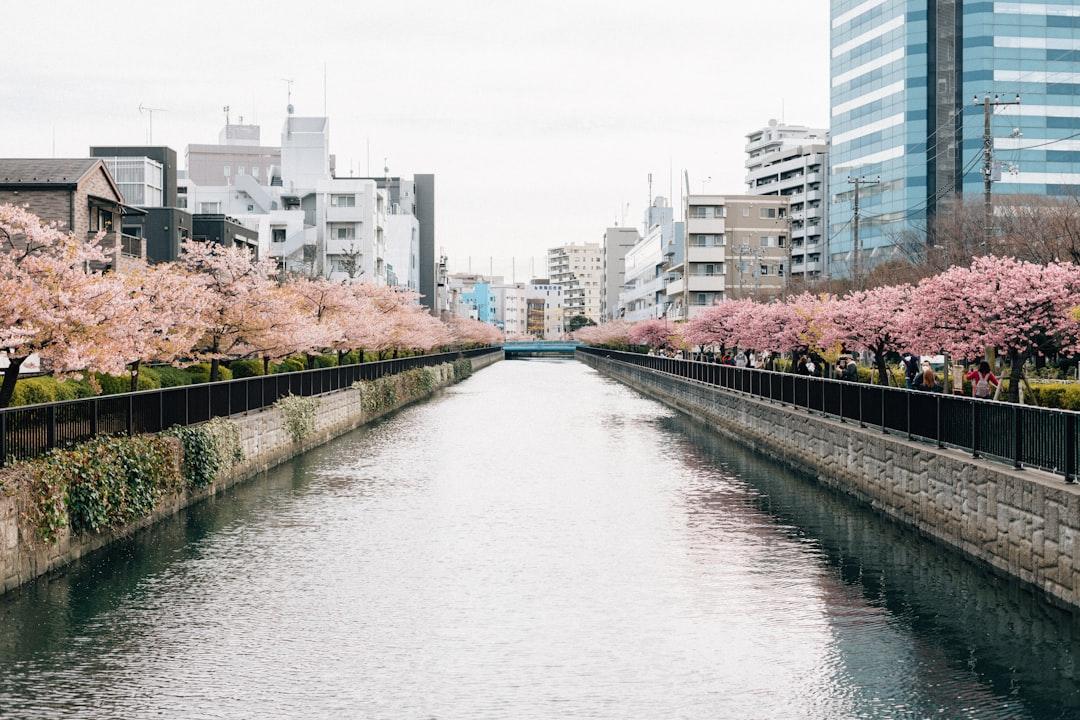 電子帳簿保存法2026年完全対応ガイド｜フリーランスが今やるべき3ステップ