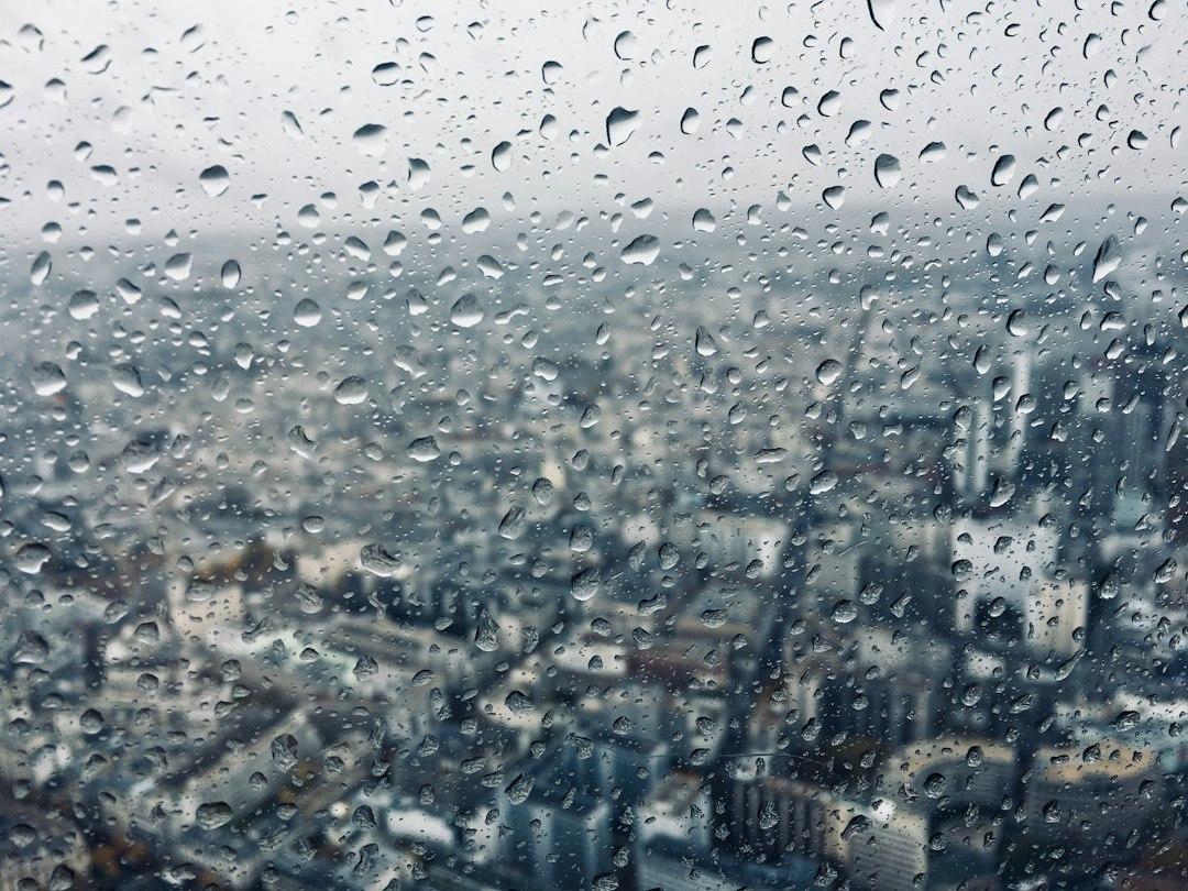 期の途中で開く臨時株主総会の議事録｜開く理由ごとの書き分け