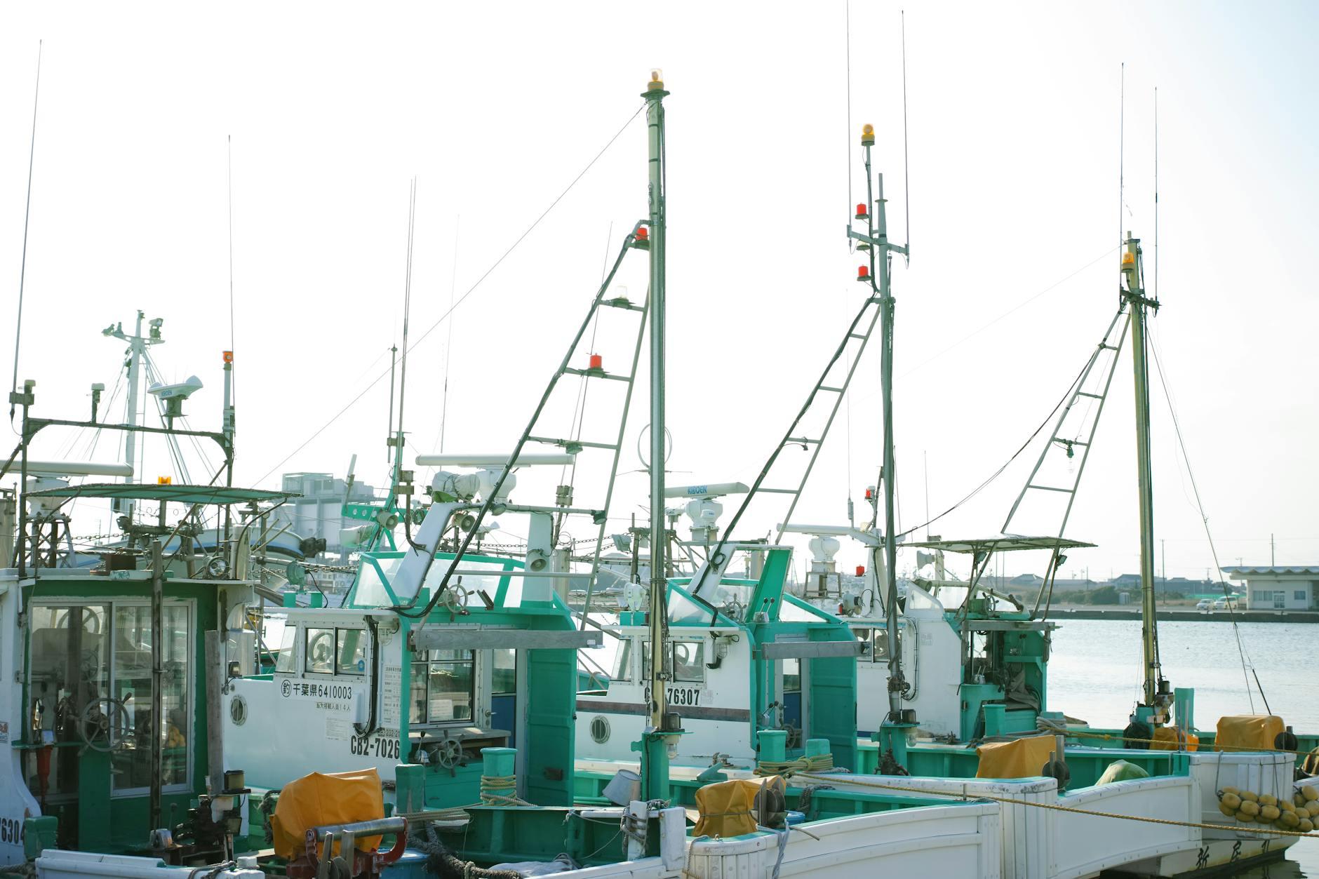 水産業 スマート化 補助金