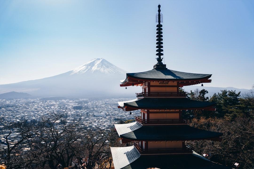 フリーランスが扶養から外れる条件