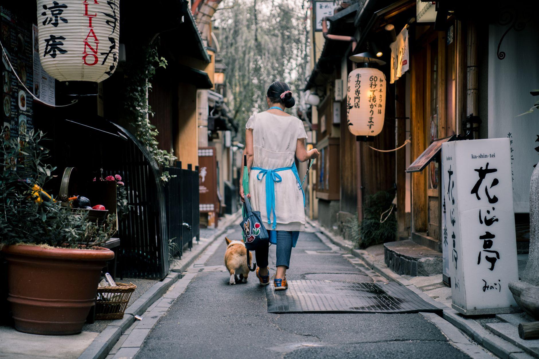 犬の散歩代行 副業 2026｜ドッグウォーカーで稼ぐ始め方と単価の相場と注意点