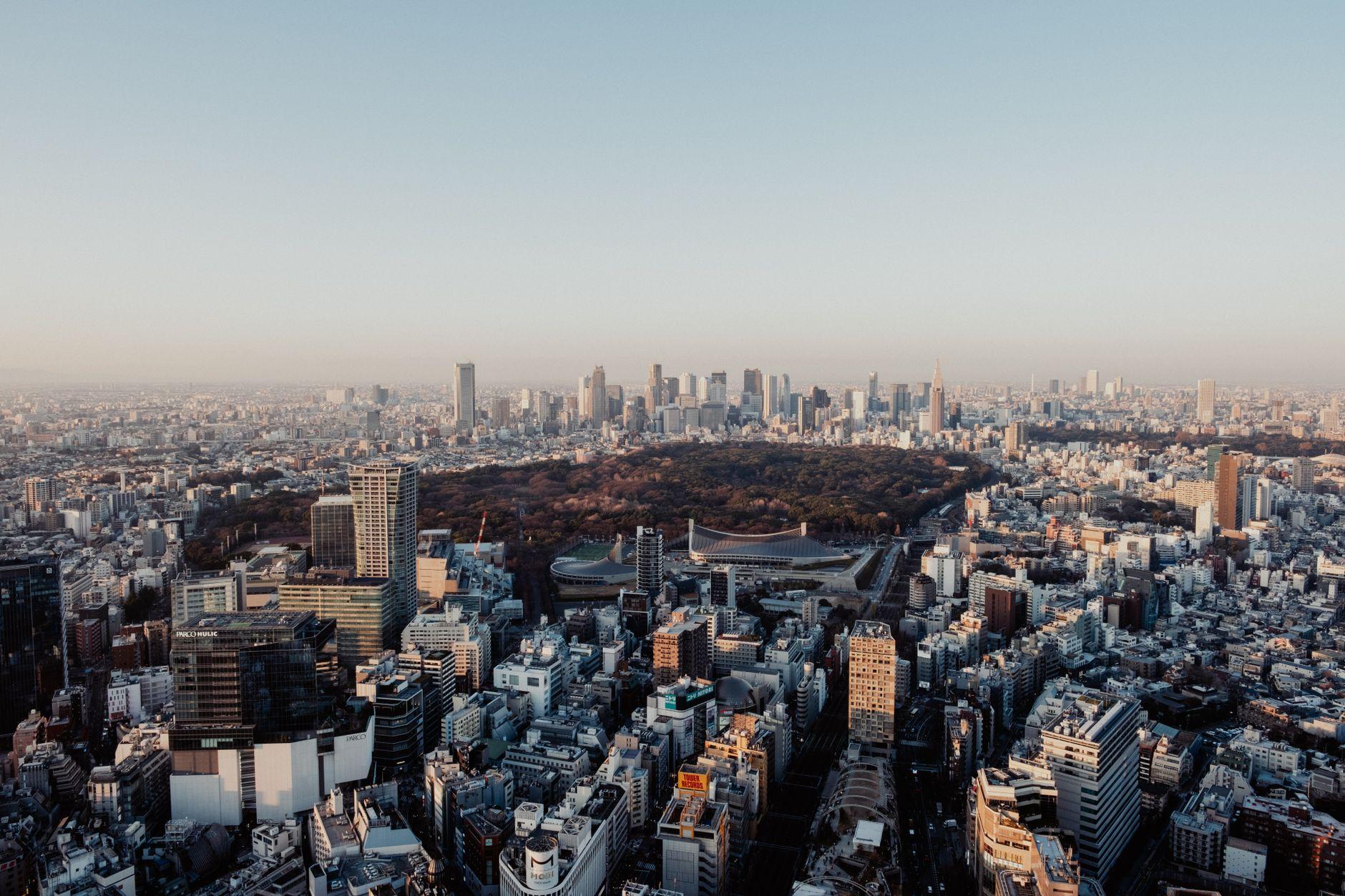 海外進出顧問 独立 2026｜現地ビジネス経験を顧問契約で売る報酬相場と探し方