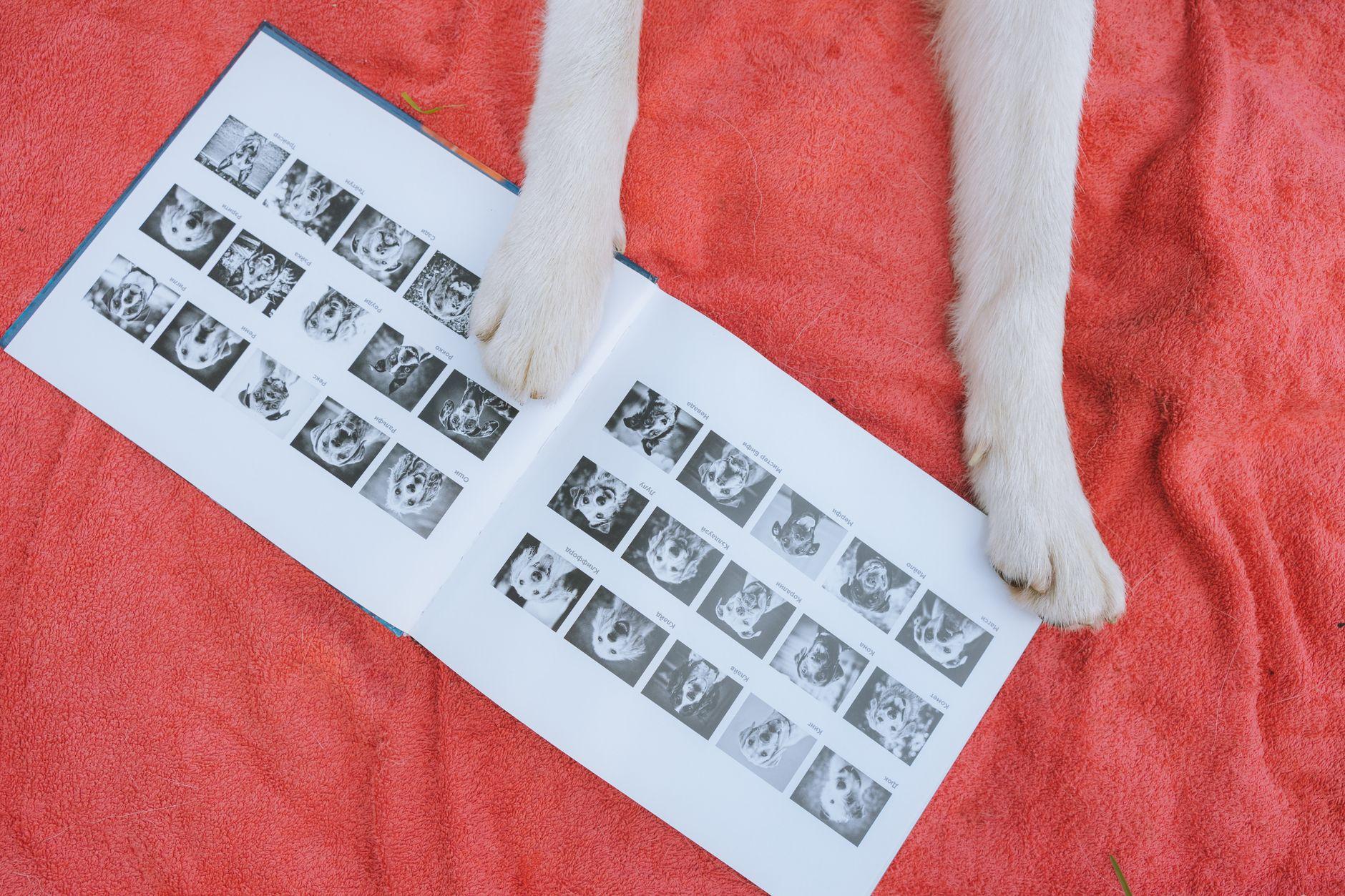 救急外来の志望動機をどう書くか｜ここを選んだ理由の組み立て方