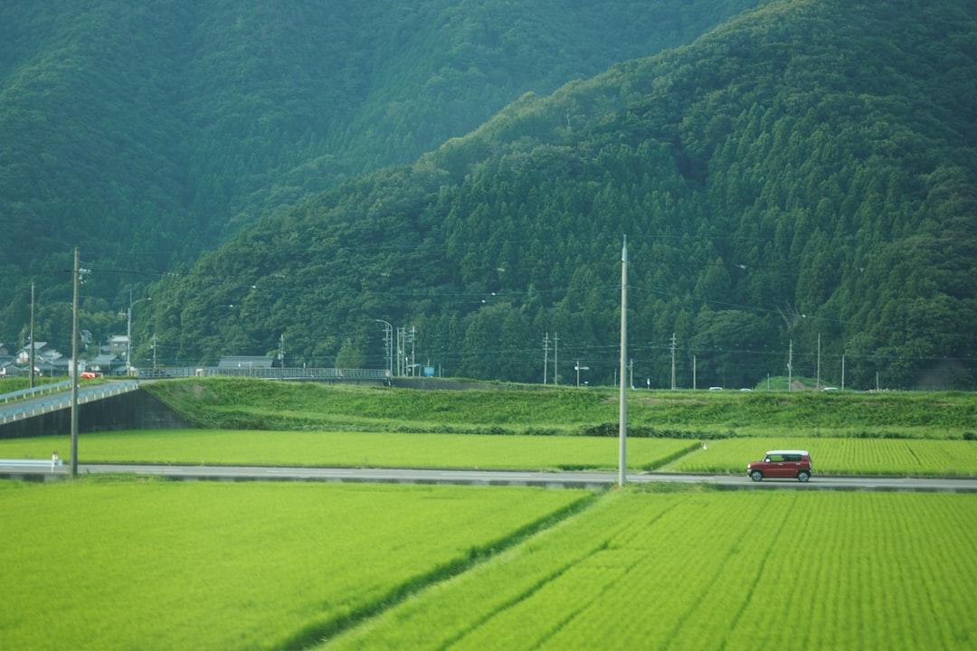 Midjourney 商用利用 副業｜契約プランごとの権利範囲とNFT販売