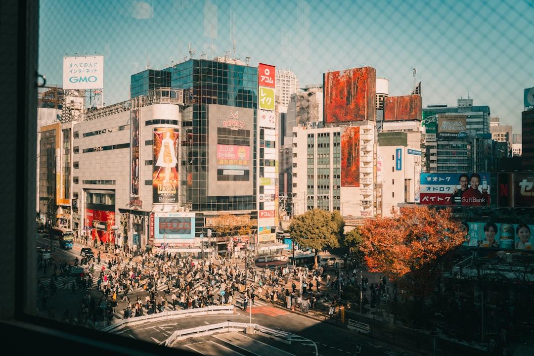 リモートワーク札幌で見つかる求人と移住前の働き方比較