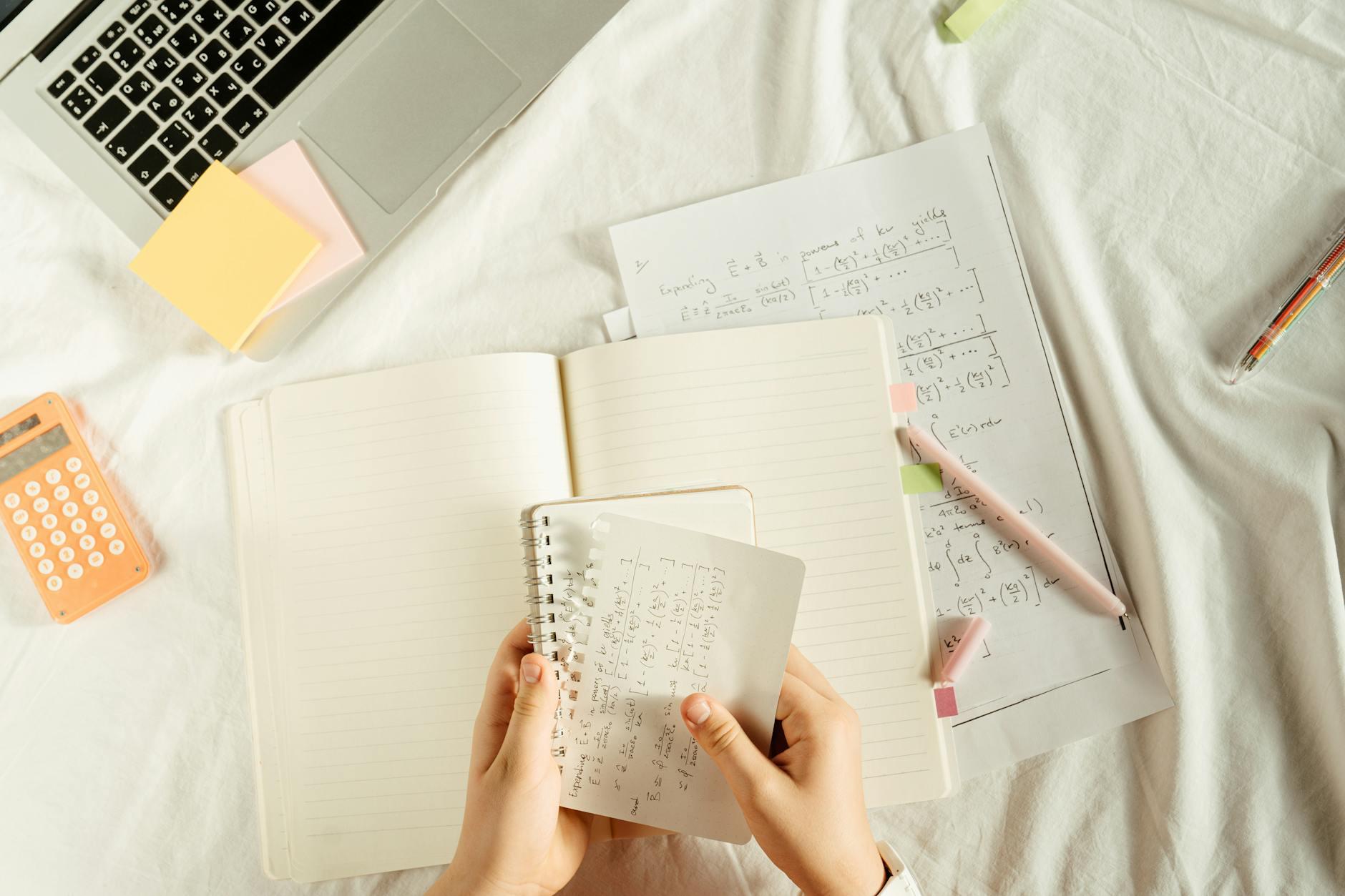 SEOコンサルタントの始め方｜未経験からフリーランスで成功するロードマップ