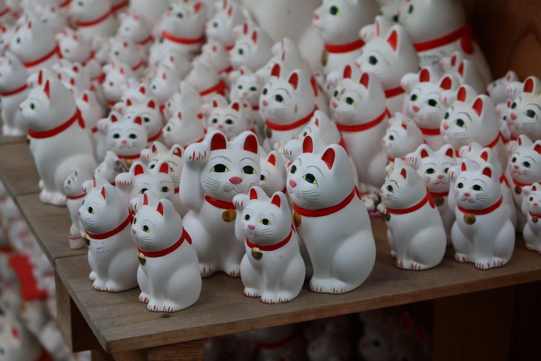 小規模企業共済は最強の節税対策？退職金を作るメリット【2026年版】