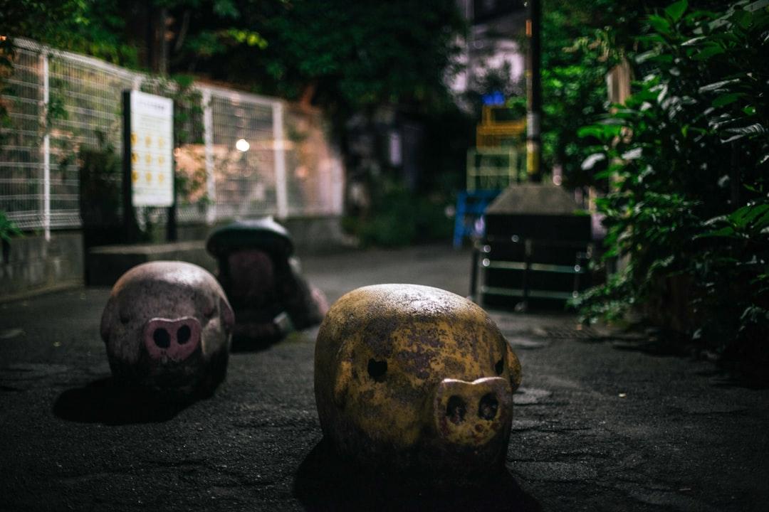 信用保証協会の融資ガイド2026｜中小企業の審査を100%通すポイント