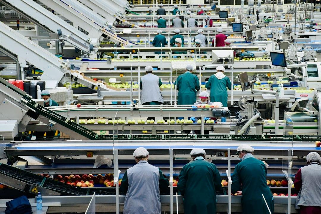 野菜の収穫パートの仕事内容と、扶養内やシニアで働くときの探し方