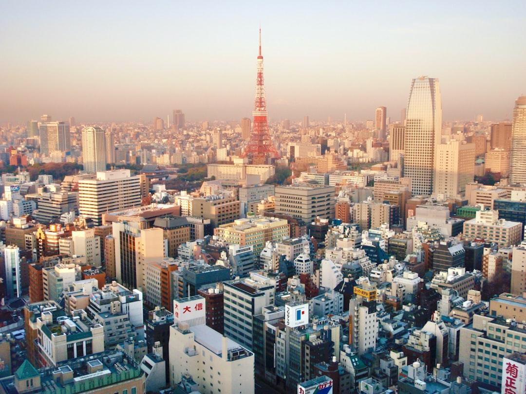 40代 比較サイトの賢い使い分け!転職・投資・アプリの選び方