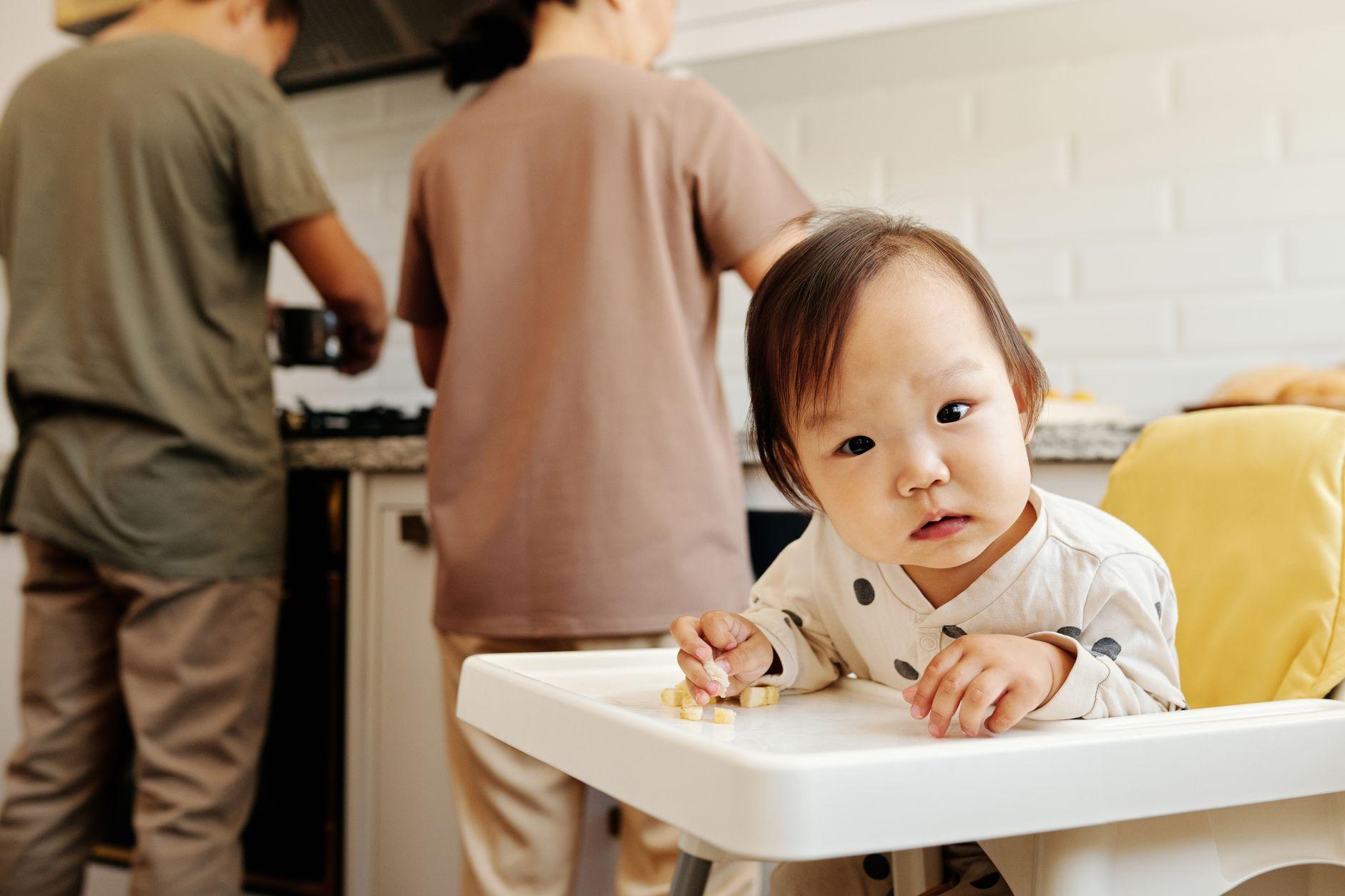 離乳食教室 AIツール 比較 おすすめ 2026|離乳食オンライン教室に効くAIツールを目的別に比較