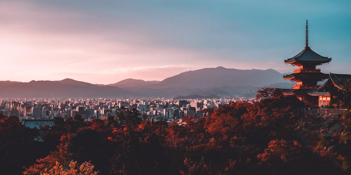 フリーランスのふるさと納税|限度額の計算方法と節税効果を解説