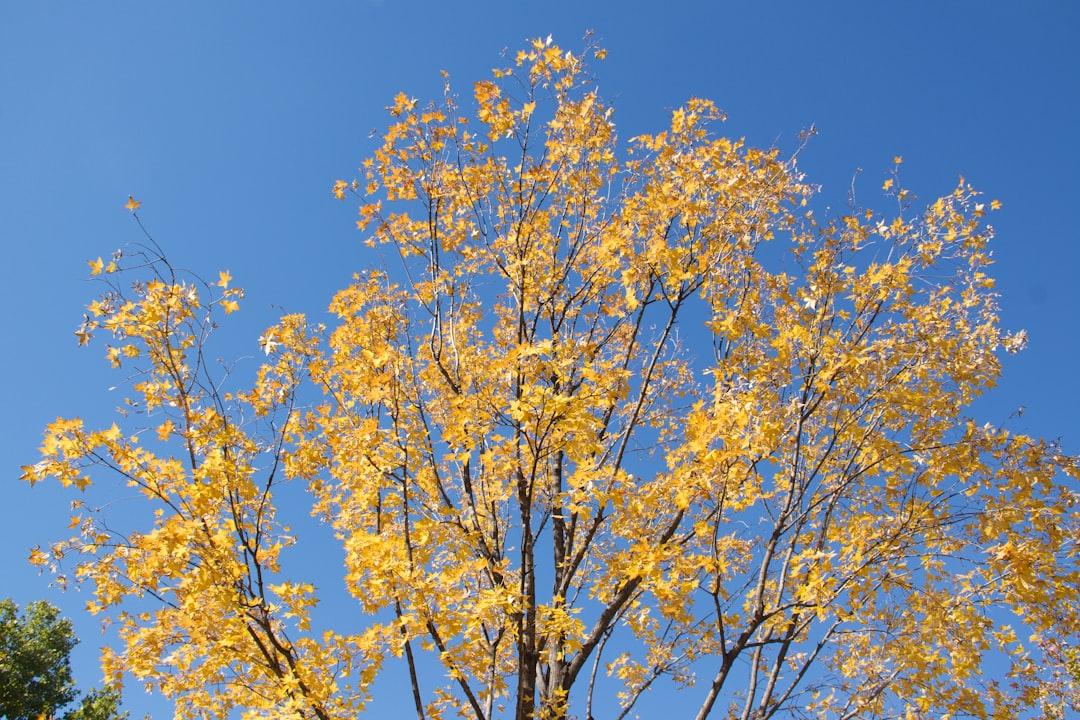 フリーランス独立前の貯金はいくら必要?最低ラインと安心ラインを解説【2026年版】