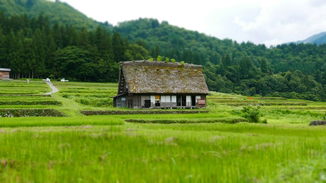 ふるさと協力隊と呼ばれる地域おこし協力隊の仕事内容と応募までの流れ
