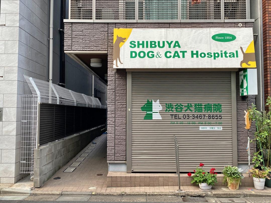 動物病院の経営アドバイザーで稼ぐ2026|診療単価設計とトリミング併設支援の顧問契約の取り方