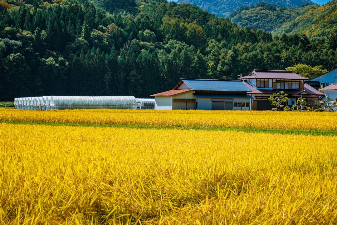 農業経営アドバイザーで顧問契約を取る2026|経営計画・補助金活用支援の単価と提案手順