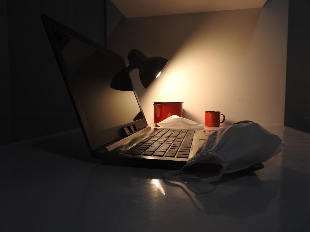 ペットシッター副業の始め方|資格・収入・開業手順を完全ガイド【2026年版】