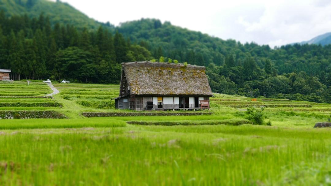 総務省の地域おこし協力隊とは?任務の内容と応募の流れ、任期後の働き方